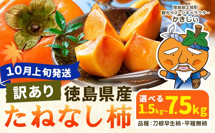 
                  【10月上旬発送指定便】柿 果物 訳あり たねなし柿 1.5kg 4kg 7.5kg 《2026年10月上旬発送予定》 旬 送料無料 徳島県 上板町 フルーツ かき カキ くだもの 刀根早生柿 平種無柿
                