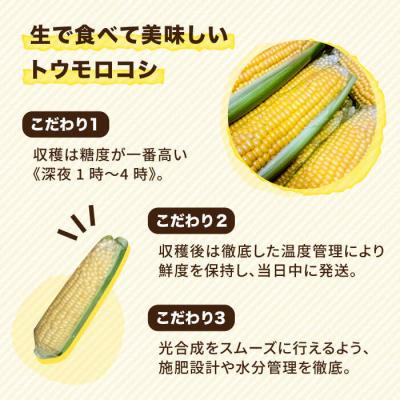 ふるさと納税 糸島市 糸島産 トウモロコシ「もきっこ」黄(10本前後) 糸島市/内田農業[AZH001] |  | 01