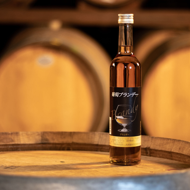 【モンデ酒造ふるさと納税】葡萄ブランデー 500ml