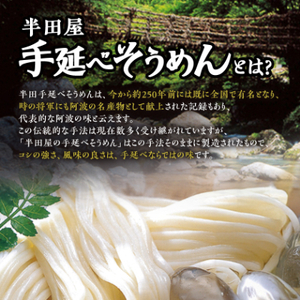 【5.0kg】半田屋の手延べそうめん　100g×50束　お裾分け・災害備蓄にもお勧め【1511552】