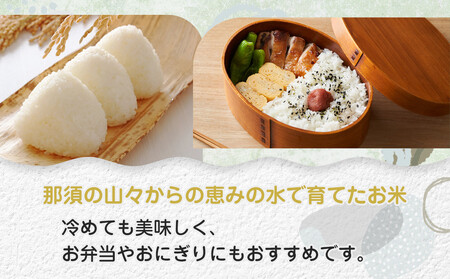 【先行予約】≪10月中旬以降発送≫令和7年産 栃木県大田原市産コシヒカリ「富米」 無洗米 10キロ ｜米 お米 新米 無洗米 コメ こしひかり 10kg