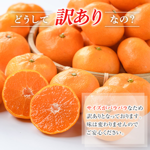 ＜先行予約受付中！2026年10月中旬以降順次発送予定＞ 訳あり！鹿児島県産手選果みかん(計10kg) 国産 柑橘 果物 フルーツ ご家庭用 サイズ 不揃い【三笠農業生産】akn051-11