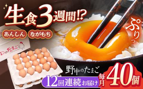 【12回定期便】産みたて新鮮卵 野中のたまご  40個×12回 計480個【野中鶏卵】 [OAC006]