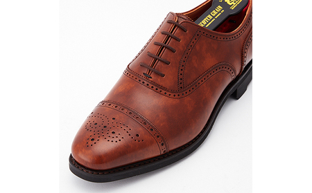 スコッチグレイン 紳士靴 「シャインオアレインIII」 NO.2720BR メンズ 靴 シューズ ビジネス ビジネスシューズ ファッション 仕事用 パーティー フォーマル  27.0cm