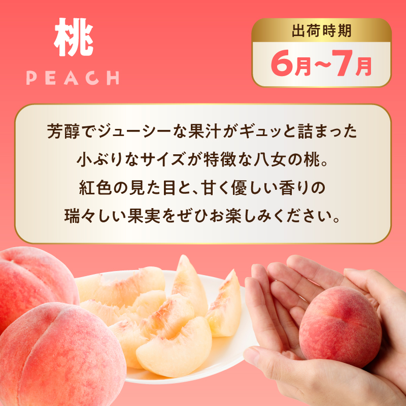 福岡八女　お楽しみ夏のフルーツ定期便C　桃　豊水梨　シャインマスカット｜＜配送不可：北海道・沖縄・離島＞