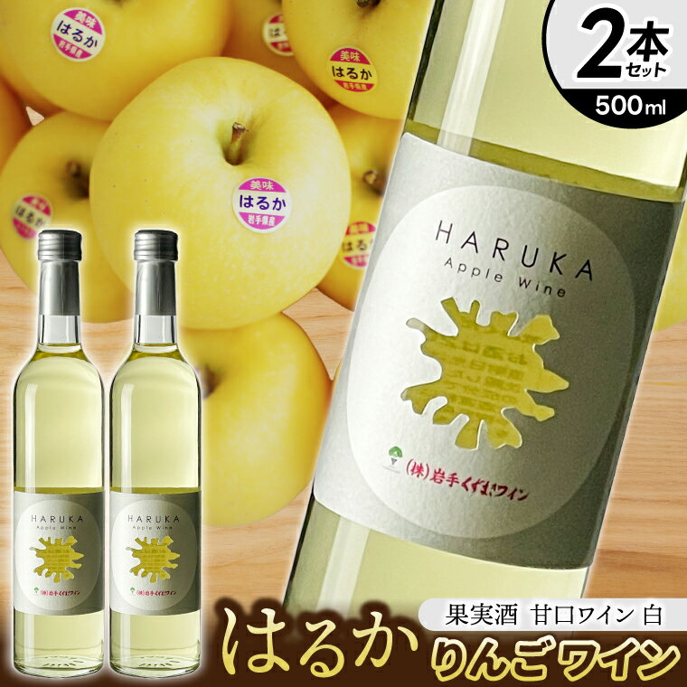 【ふるさと納税】はるか りんごワイン 2本セット【ワイン フルーツワイン 岩手県 紫波町産 りんご】（EX002）