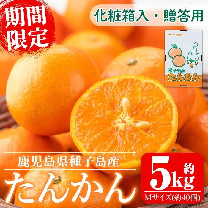 たんかん 5kg・約40個 鹿児島 柑橘 【種子屋久農業協同組合】n204
