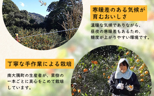 【先行予約】南大隅の太陽浴びた甘くて・おいしい ぽんかん 5kg【2026年1月中旬以降順次発送】 ID-1 ｜ぽんかん ポンカン 柑橘 甘い 果物 新鮮 産地 直送 先行予約 おすすめ 人気 南大隅