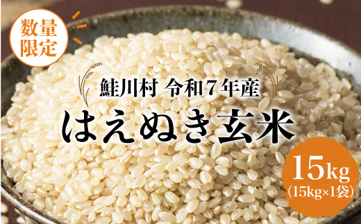 ◇数量限定品◇ 令和8年5月下旬発送 ＜令和7年産＞ はえぬき 【玄米】 15kg （15kg×1袋）鮭川村