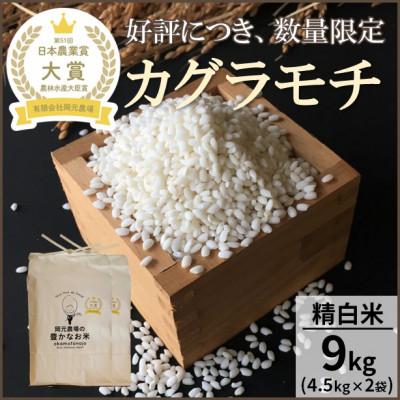 ふるさと納税 能美市 【日本農業賞大賞】もち米9kg(4.5kg×2袋)精白米(カグラモチ)