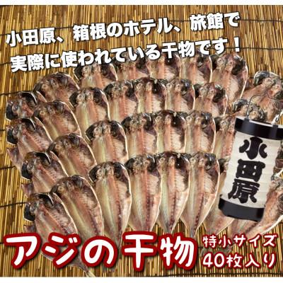 ふるさと納税 小田原市 鯵の干物 特小サイズ40枚セット 小田原、箱根のホテル、旅館で使われています【神奈川県小田原市早川】