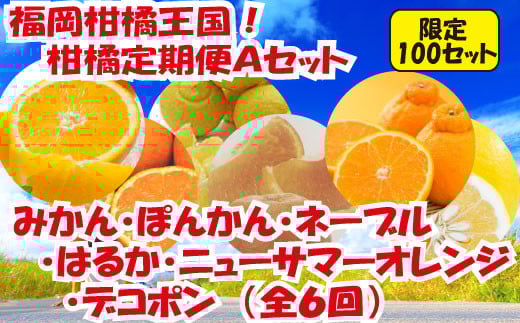 
FF003.福岡柑橘王国！柑橘定期便Aセット
