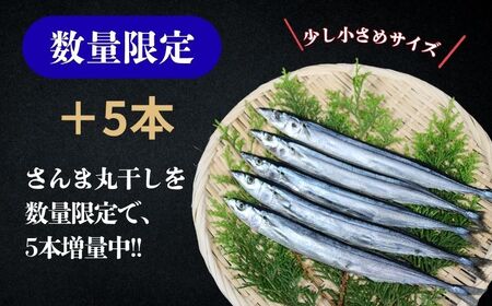 訳あり さんま 40尾 数量限定 増量 中 45尾 訳あって 【 さんま 】 ヤマニンベン
