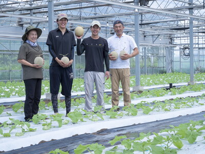 〈先行予約受付〉石下農園のアールスメロン〈青肉〉 Lサイズ 2玉セット ｜ 果物 フルーツ メロン 国産 アールスメロン ギフト 贈答 ※着日指定不可 ※離島への配送不可 ※2025年9月下旬～11月