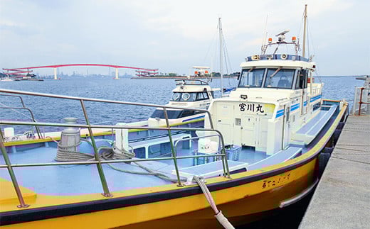 ＜宮川丸＞木更津防波堤釣り 渡船乗船券　１名様分 ふるさと納税 釣り 船 舟 大漁 魚 イカ 漁船 千葉県 木更津 送料無料 KAO001