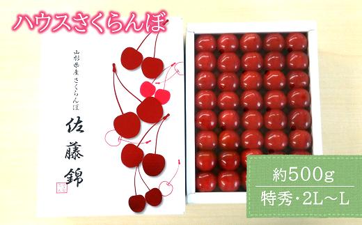 
            【令和7年産先行予約】 JA ハウスさくらんぼ 「佐藤錦」 約500g (特秀 2L～L) 化粧箱入り 《令和7年6月上旬～中旬発送》 『JA山形おきたま』 サクランボ 果物 フルーツ 山形県 南陽市 [860]
          