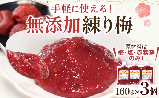 無添加 練り梅 160g × 3個 手作り 梅干 梅干し うめぼし うめ干し 塩分 15% 〜 18% すっぱい 熱中症対策 お試し お取り寄せ 国産 人気 おすすめ 宮城