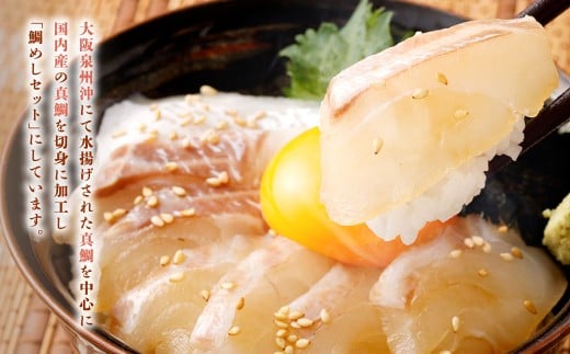 【ANA限定】真鯛の 生鯛めし セット 【5食分】