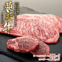 【ふるさと納税】 蓼科牛サーロインステーキ200g×3パック、ヒレステーキ120g×2パック | 国産 肉 牛肉 牛 お肉 ステーキ サーロイン ヒレ セット サーロインステーキ ヒレステーキ お取り寄せ グルメ 蓼科牛 ふるさと 信州 長野県 立科町 蓼科