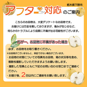 【数量限定！】【今季出荷分！】にっこり 梨 3kg | 2025年産 | 栃木県 下野市