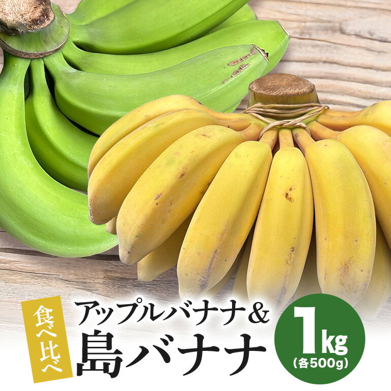 【ふるさと納税】島バナナ・アップルバナナ食べ比べセット1kg（各500g） バナナ 島バナナ アップルバナナ フルーツ 果物 甘い スムージー フルーティー 完熟 濃厚 もっちり ねっとり 南国 お取り寄せ 沖縄 糸満市