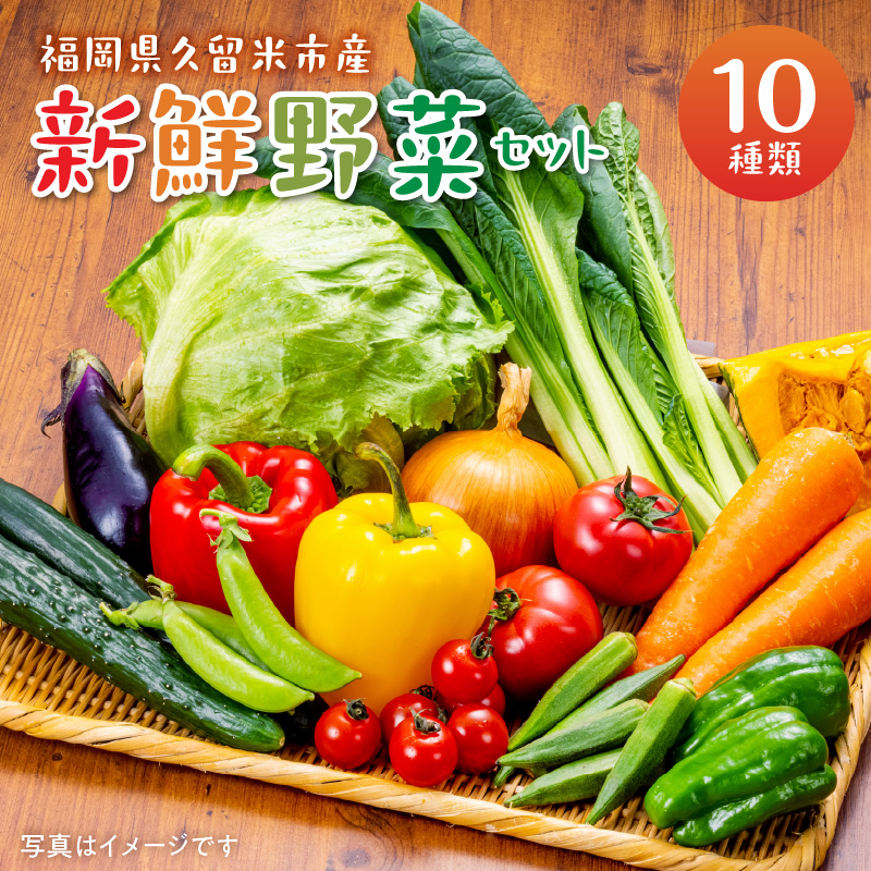 福岡県久留米市産　新鮮野菜セット