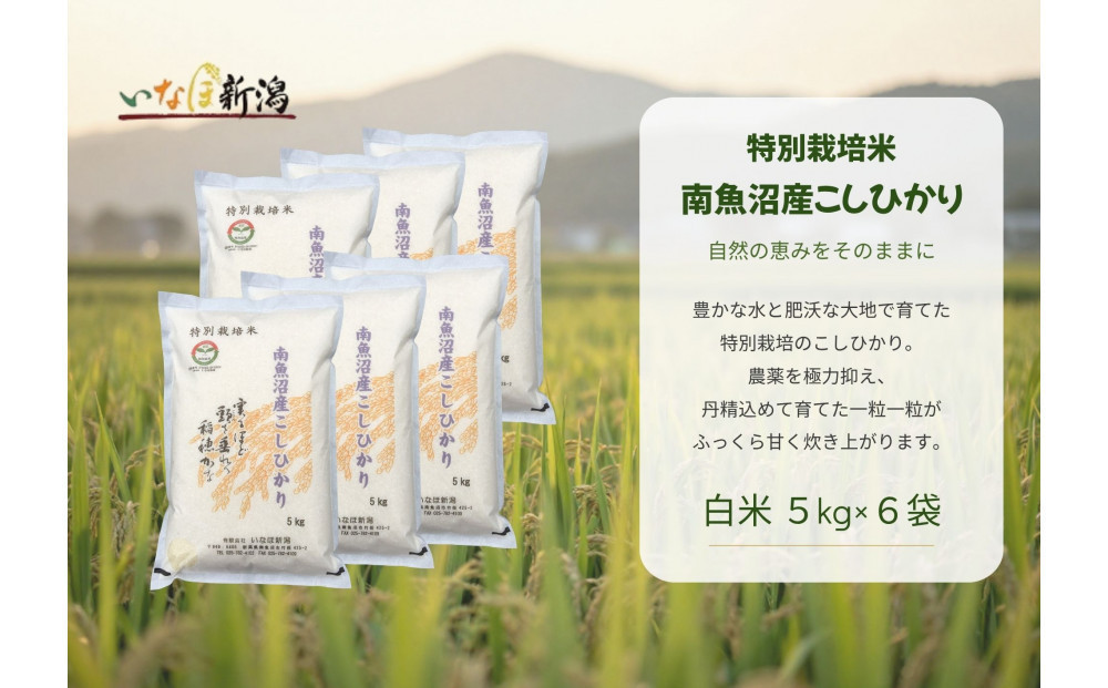 【令和8年産新米予約】 南魚沼産コシヒカリ特別栽培米 白米 30kg(5kg×6)【2026年9月下旬より1ヶ月以内に順次発送予定】