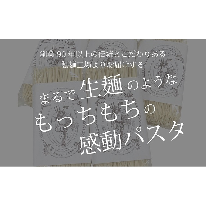 関ケ原町産ふわりもち使用 関ケ原パスタ（ストレート麺）計900g（300g×3袋 約9人前）_イメージ2