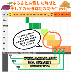 訳あり 干し芋 紅はるか 1.5kg 干し芋 平干し hosiimo