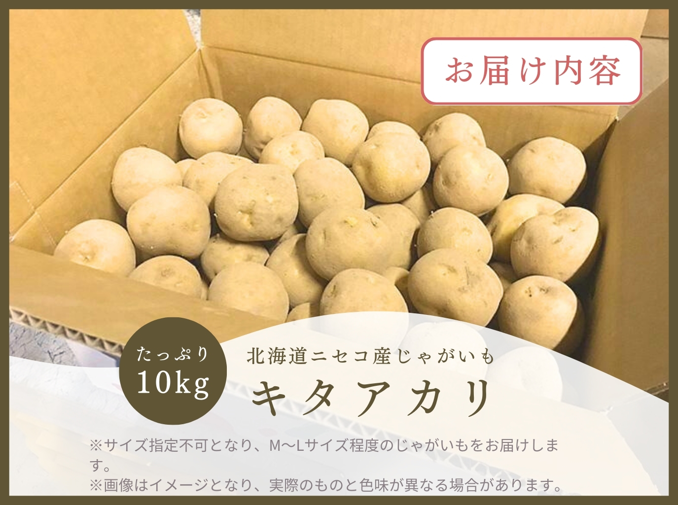 《2024年分受付中》甘くてほくほく!北海道ニセコ名産「キタアカリ」新じゃが10kg/高橋農園【37005】