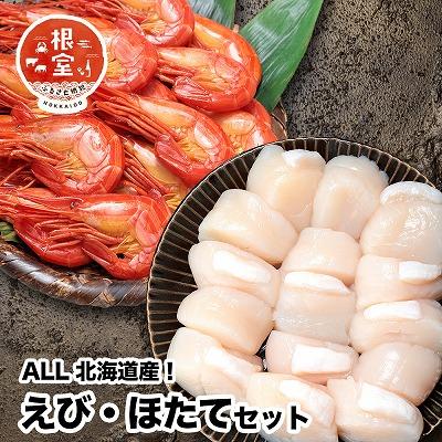 ふるさと納税 根室市 シマエビ400g・ほたて500gセット B-24018