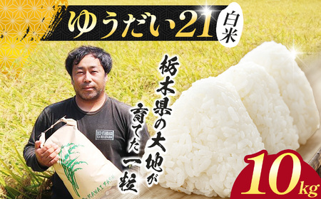 【先行予約】栃木県 下野市 ゆうだい 10kg 米