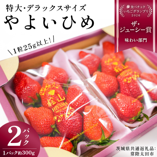 【 2026年 先行予約 】やよいひめ (2パック)　特大・デラックスサイズ（茨城県共通返礼品／常陸太田市） 2026年1月上旬発送開始 大粒 フルーツ 苺 イチゴ いちご 新鮮 朝採れ 茨城県 桧山FRUITFARM [DY013sa]
