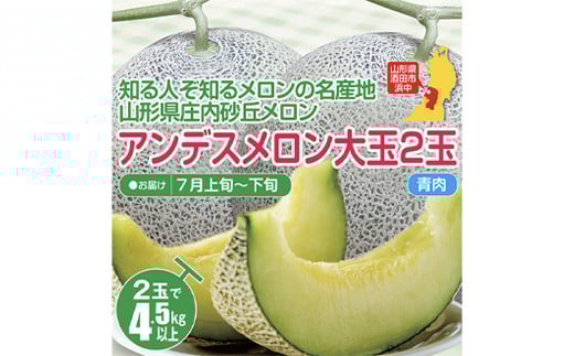 【先行予約 2025年7月発送】庄内砂丘メロン 大玉アンデスメロン（青肉）2玉 4.5kg以上 つる付 化粧箱入 FSY-0337
