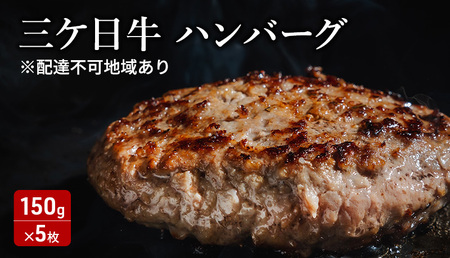 三ケ日牛ハンバーグ 150g×5枚セット 三ケ日牛 牛肉 ハンバーグ セット 冷凍 惣菜 静岡 浜松市