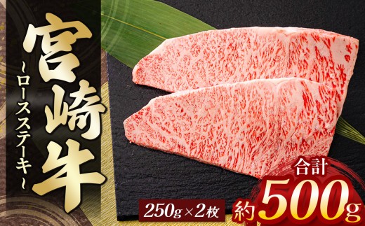
            宮崎牛ロースステーキ 2枚（計 500g） | 肉 にく お肉 おにく 牛 牛肉 和牛 宮崎牛 牛ロース ロース ステーキ 宮崎県 五ヶ瀬町
          