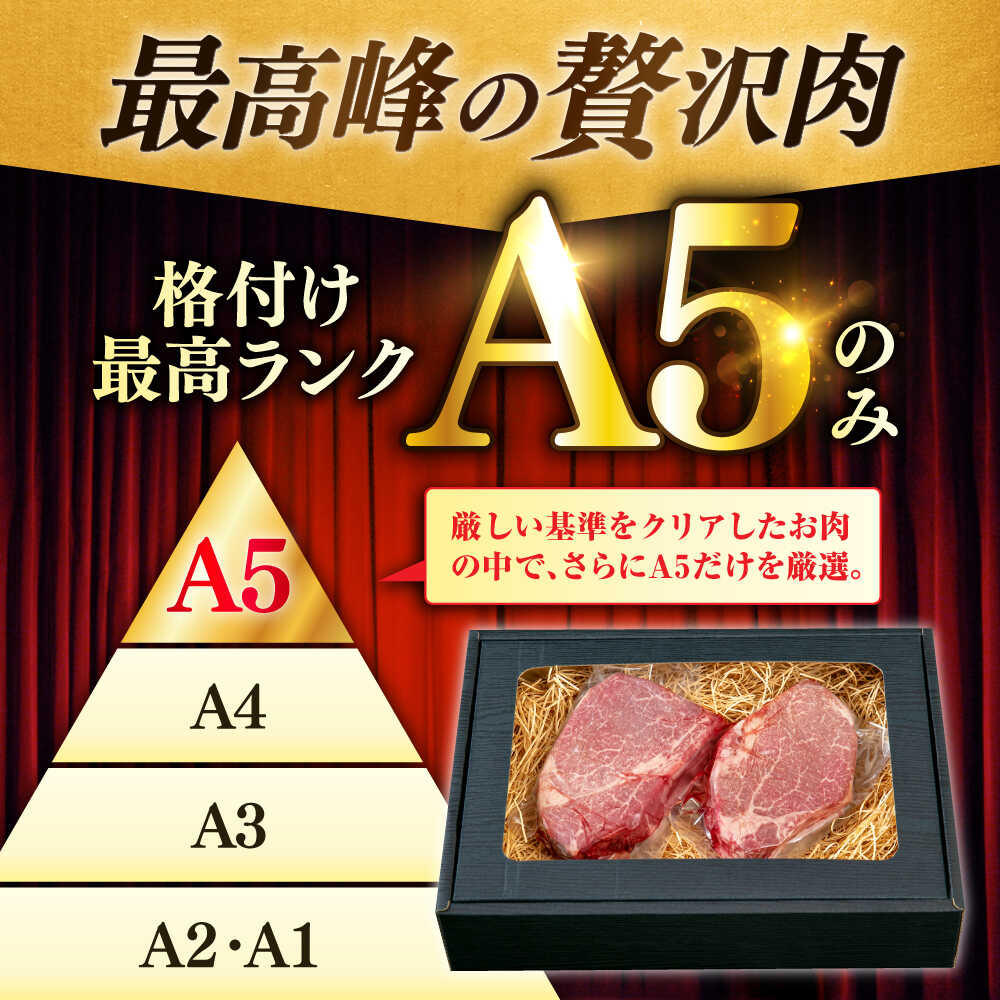 極上 佐賀牛 赤身 A5 ヒレ ステーキ  200g × 2枚 ヒレステーキ 吉野ヶ里町/KRAZY MEAT [FDR001]