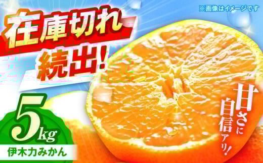 ※【2025年10月発送分／先行予約】《伊木力みかん》家庭用みかん 5kg / みかん ミカン 蜜柑 フルーツ ふるーつ 果物 くだもの いきりき / 諫早市 / 山野果樹園 [AHCF002]