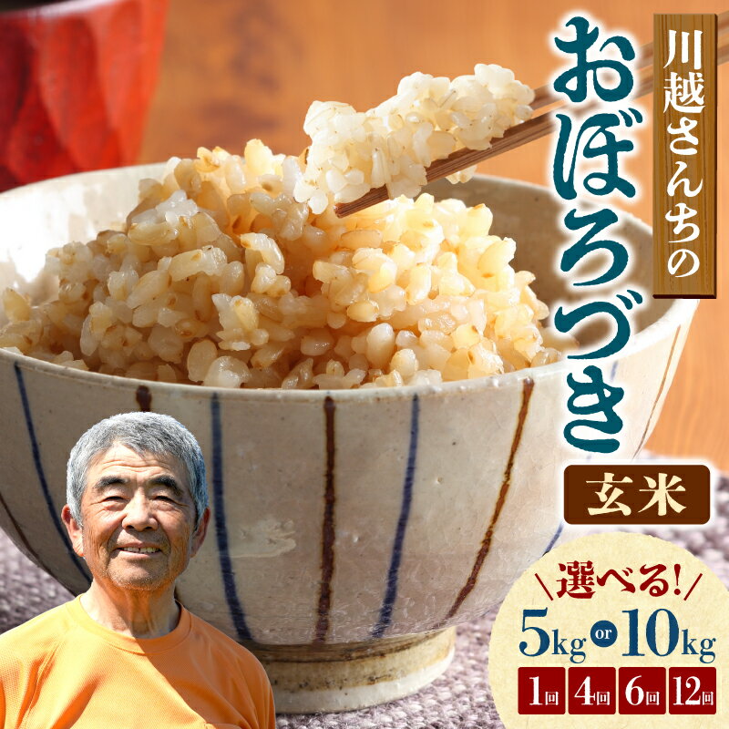 【ふるさと納税】令和7年産 川越さんちのおぼろづき 玄米【 選べる！5kg or 10kg / 1回 ・ 4回 ・ 6回 ・ 12回 】 北海道産米 ごはん ブランド 定期便 米 もっちり やわらか おにぎり お弁当 バランスが良い お取り寄せ 北海道 雨竜町 送料無料