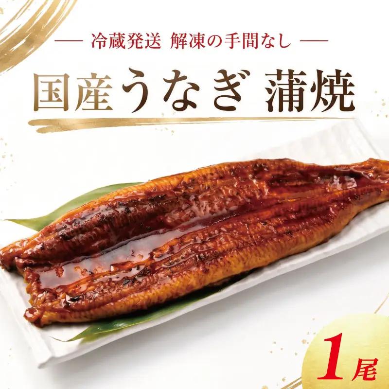 うなぎ 蒲焼 国産 中サイズ 1尾 《 冷蔵発送 解凍手間なし！》 鰻