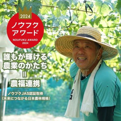 ふるさと納税 竹原市 八天堂ファーム 果実なきモチ シャインマスカット 2箱 |  | 02
