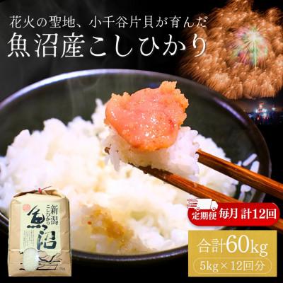 ふるさと納税 小千谷市 【毎月定期便】魚沼産コシヒカリ 精米 5kg全12回
