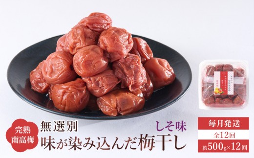 無選別 和歌山の完熟南高梅 味が染み込んだ梅干し しそ味 500g 塩分10％ [定期便 毎月発送・全12回]
