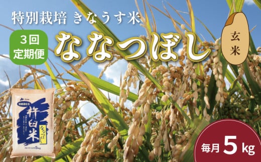 【玄米3ヶ月定期便】特別栽培「きなうす米」ななつぼし5kg×3回　J033