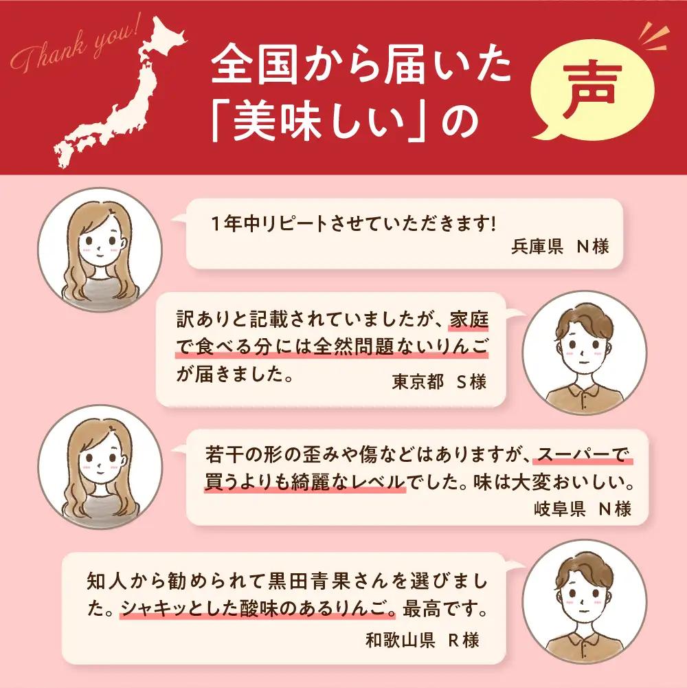 【2027年2月後半発送】【ちょっと訳あり】 りんご 約10kg サンふじ 青森県産 りんご