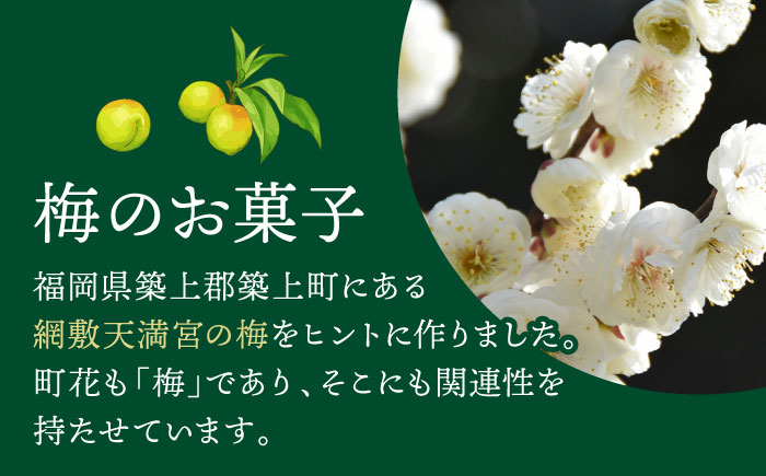 【老舗の菓子屋】築上銘菓「 梅の実 」12 個《築上町》【有限会社 御菓子司 鹿の子】 [ABAC019]