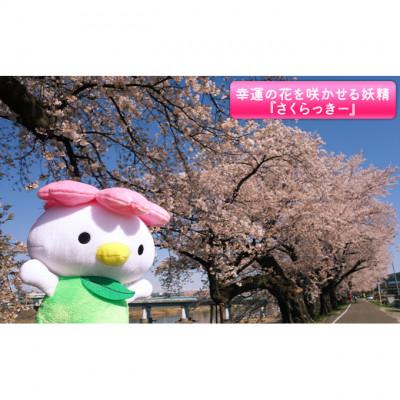 ふるさと納税 大河原町 大河原町観光PRキャラクター「さくらっきー」ぬいぐるみ20cm[53751017] |  | 02