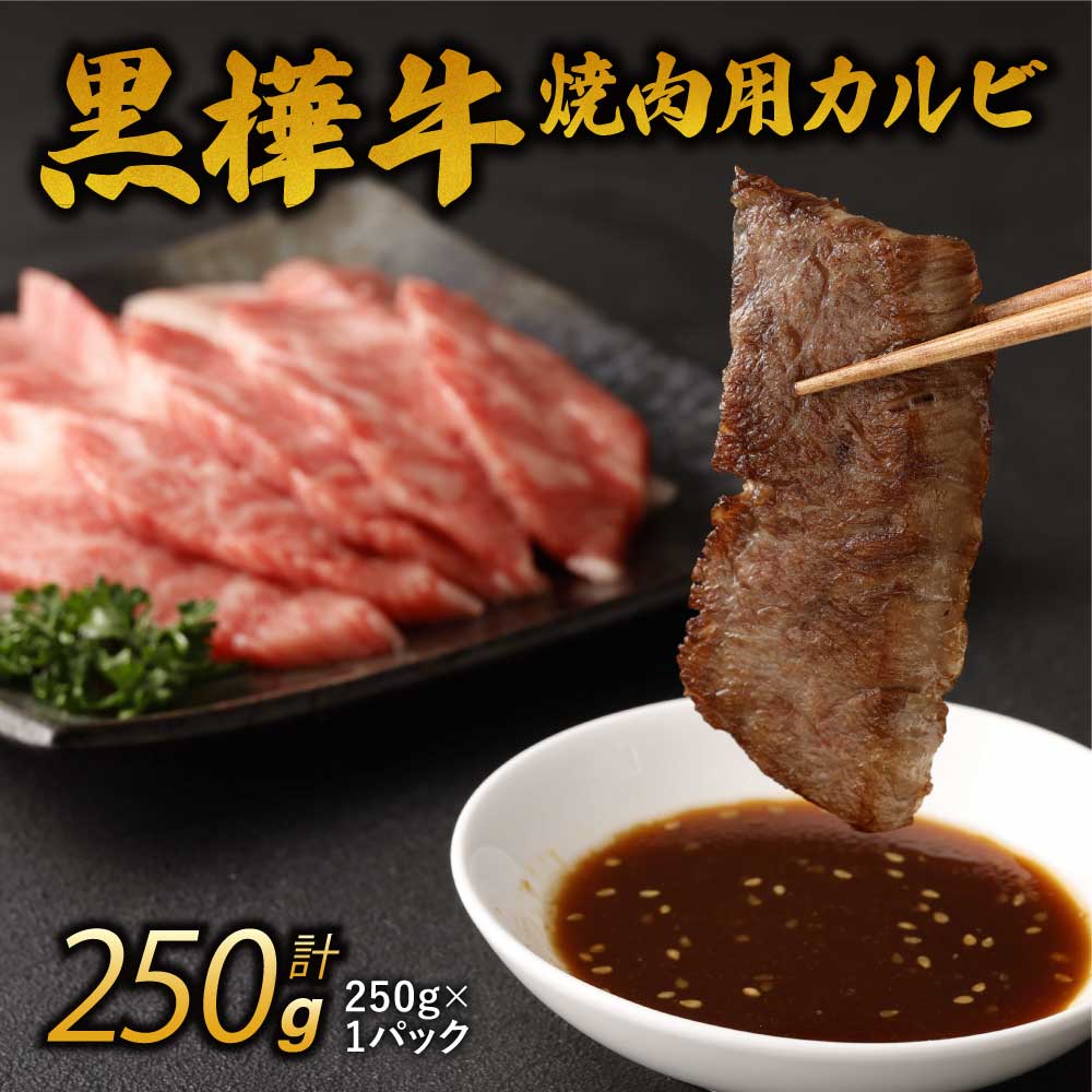 【ふるさと納税】 A4〜A5等級 焼肉用 カルビ 合計250g 九州産黒毛和牛 黒樺牛 牛肉 焼肉 焼き肉 和牛 牛 黒毛和牛 国産 冷凍 送料無料