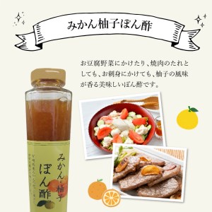 チキン南蛮　なますの酢　みかん柚子ぽん酢　酢?油　詰め合わせ　N0145-ZA460