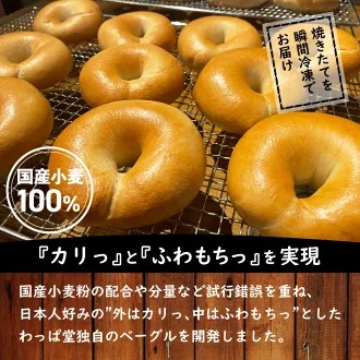 わっぱ堂 ふわもち ベーグル セット 詰め合わせ 10種 バラエティー 豊富 いちじく 抹茶 ブルーベリー チーズ ベーコン 国産 小麦 自家製 厳選 個包装 保存 便利 パン 食品 朝食 おやつ お取り寄せ グルメ 愛知県 碧南市 送料無料 H049-037